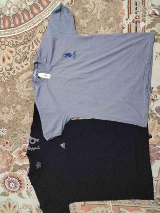 3 عدد تی شرت نو سایز xl در گروه خرید و فروش لوازم شخصی در کرمانشاه در شیپور-عکس1