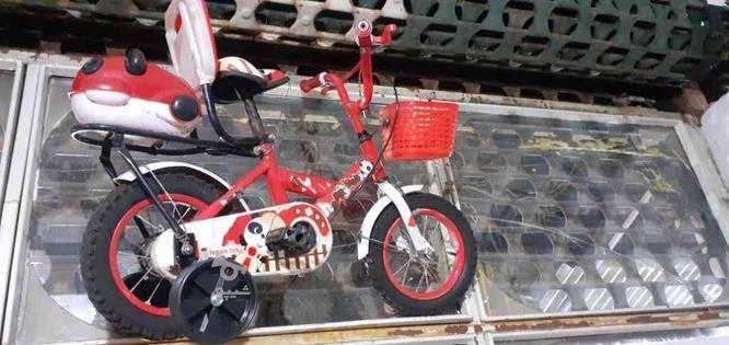دوچرخه 12بچگانه در گروه خرید و فروش ورزش فرهنگ فراغت در البرز در شیپور-عکس1