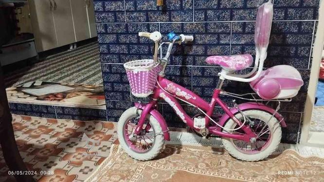 دوچرخه سایز 12و سایز20 در گروه خرید و فروش ورزش فرهنگ فراغت در تهران در شیپور-عکس1