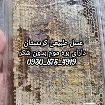 عسل طبیعی بدون شکر در گروه خرید و فروش خدمات و کسب و کار در تهران در شیپور-عکس1