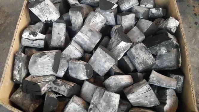 تولید زغال سنتی کپکی در گروه خرید و فروش خدمات و کسب و کار در خراسان رضوی در شیپور-عکس1