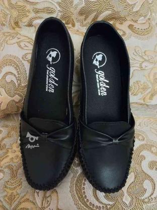 کفش طبی سایز40 در گروه خرید و فروش لوازم شخصی در مازندران در شیپور-عکس1