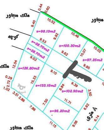 فروش زمین به تعداد هفت پلاک در گروه خرید و فروش املاک در مازندران در شیپور-عکس1