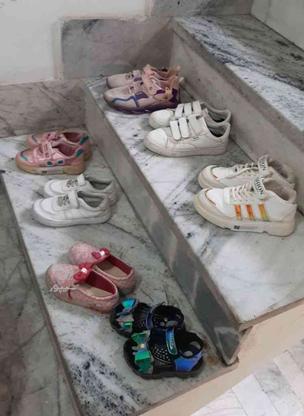کفش کتونی و صندل بچه گانه در گروه خرید و فروش لوازم شخصی در البرز در شیپور-عکس1
