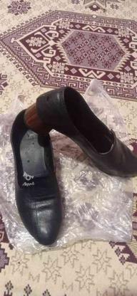 کفش کتونی نیم پوت در حد نونو به ترتیب از 50 تومان تا 150 در گروه خرید و فروش لوازم شخصی در البرز در شیپور-عکس1