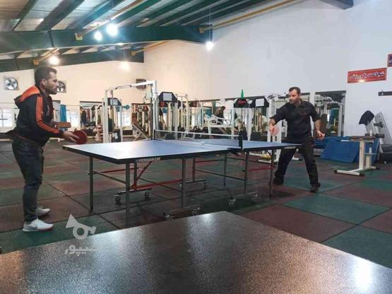 آموزش رشته تنیس روی میز بصورت تخصصی در گروه خرید و فروش خدمات و کسب و کار در مازندران در شیپور-عکس1