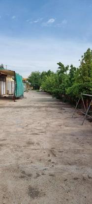 سوله و چهار دیواری باغچه کارگاه در گروه خرید و فروش املاک در قزوین در شیپور-عکس1