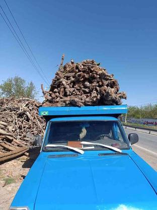 خرید چوب انگور در گروه خرید و فروش خدمات و کسب و کار در آذربایجان شرقی در شیپور-عکس1