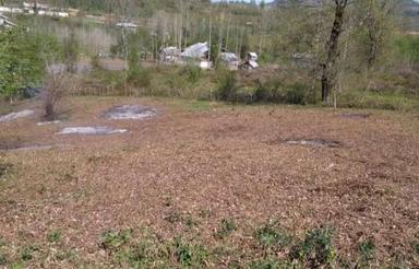 زمین مسکونی1748متری در زاکله بر لاهیجان