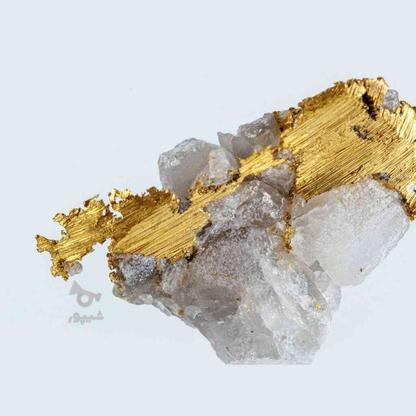 استخراج طلا در گروه خرید و فروش خدمات و کسب و کار در کردستان در شیپور-عکس1