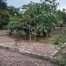 زمین 100 متری در پل گردن با کد نوسازی