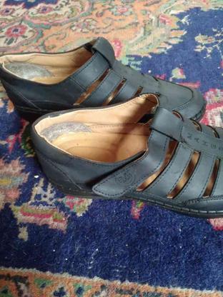 کفش راحتی زنانه سایز39نونو در گروه خرید و فروش لوازم شخصی در آذربایجان غربی در شیپور-عکس1