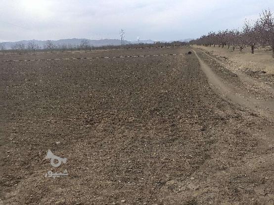 زمین خالی کشاورزی متراژ1/5هکتار در گروه خرید و فروش املاک در آذربایجان غربی در شیپور-عکس1