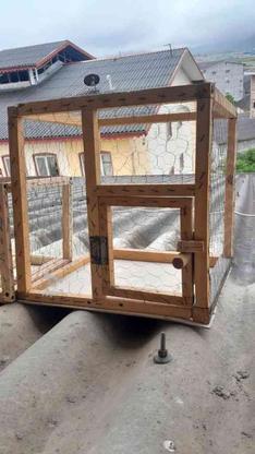 قفس چوبی سالم برای جوجه اردک در گروه خرید و فروش ورزش فرهنگ فراغت در گیلان در شیپور-عکس1
