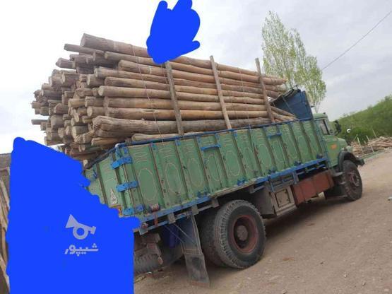 خرید چوب خشک درجه یک و دو در گروه خرید و فروش خدمات و کسب و کار در زنجان در شیپور-عکس1