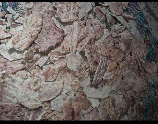 نان خشک تمیز در گروه خرید و فروش خدمات و کسب و کار در سیستان و بلوچستان در شیپور-عکس1