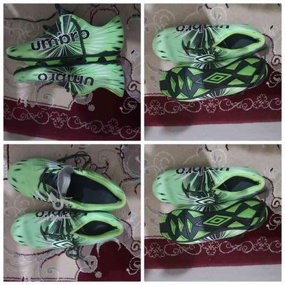 کفش فوتبال 38 در گروه خرید و فروش ورزش فرهنگ فراغت در فارس در شیپور-عکس1