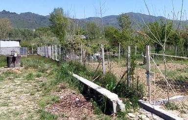 فروش زمین مسکونی 200 متر در سوستان