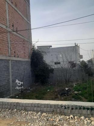زمین مسکونی با موقعیت عالی128متر در گروه خرید و فروش املاک در مازندران در شیپور-عکس1