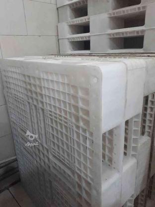 پالت پلاستیکی در حد نو ابعاد 130×110 وزن حدود16 تا 18 کیلو در گروه خرید و فروش صنعتی، اداری و تجاری در اصفهان در شیپور-عکس1