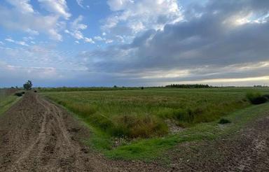 فروش زمین کشاورزی 2500 متر در دازمیرکنده