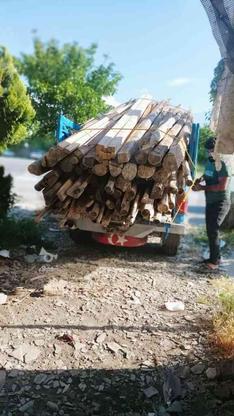 ایرانیت چوب خریدارم در گروه خرید و فروش خدمات و کسب و کار در گلستان در شیپور-عکس1