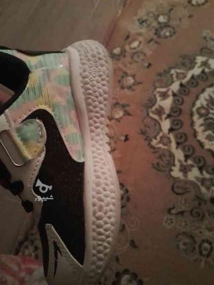 دوجفت کفش بچه کانه 28 دوجفت کفش زنانه 37 در گروه خرید و فروش لوازم شخصی در تهران در شیپور-عکس1