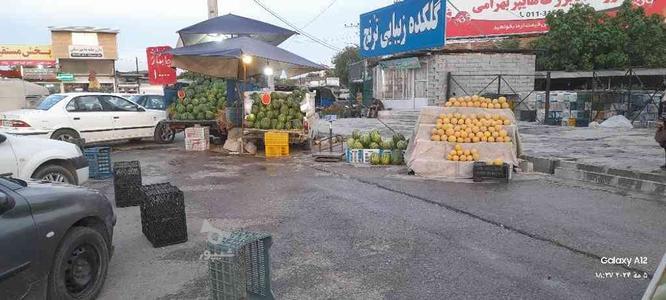 فروش هندوانه عمده در گروه خرید و فروش خدمات و کسب و کار در مازندران در شیپور-عکس1