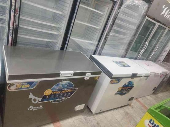یخچالهای صندوقی بستنی فریزر ایستاده سوپرمارکت قصابی قنادی در گروه خرید و فروش خدمات و کسب و کار در مازندران در شیپور-عکس1