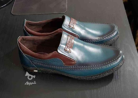 کفش سایز 41 40 در گروه خرید و فروش لوازم شخصی در زنجان در شیپور-عکس1