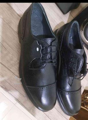 کفش مردانه سایز43 در گروه خرید و فروش لوازم شخصی در تهران در شیپور-عکس1