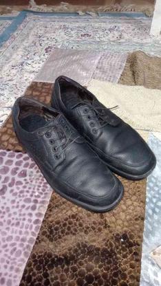 کفش چرم طبیعی 43 در گروه خرید و فروش لوازم شخصی در خراسان رضوی در شیپور-عکس1