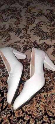 کفش سفید برای عقد در گروه خرید و فروش لوازم شخصی در قزوین در شیپور-عکس1