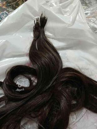 مو طعبیی 1بار نصب شده نیاز به سرچسب کراتین در گروه خرید و فروش لوازم شخصی در تهران در شیپور-عکس1