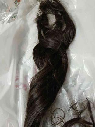 موی طبیعی 60 سانت450شاخه در گروه خرید و فروش لوازم شخصی در تهران در شیپور-عکس1