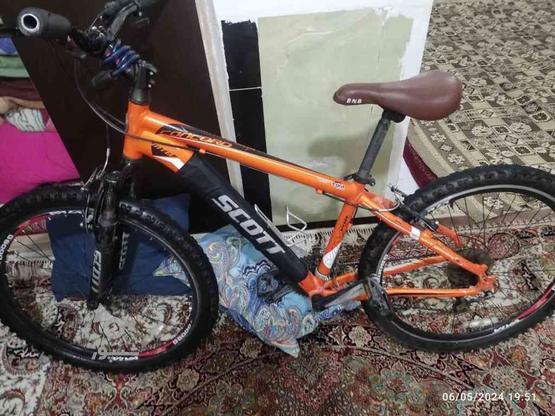 دوچرخه ویوا سایز 26 در گروه خرید و فروش ورزش فرهنگ فراغت در آذربایجان غربی در شیپور-عکس1