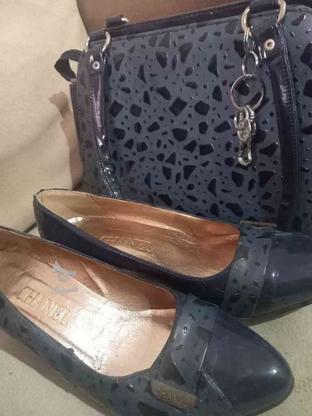 کیف و کفش زنانه مجلسی در گروه خرید و فروش لوازم شخصی در تهران در شیپور-عکس1