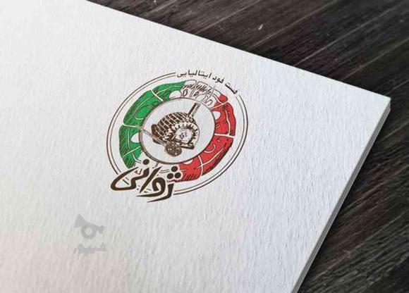 طراح لوگو (آرم) نشان logo در گروه خرید و فروش خدمات و کسب و کار در تهران در شیپور-عکس1