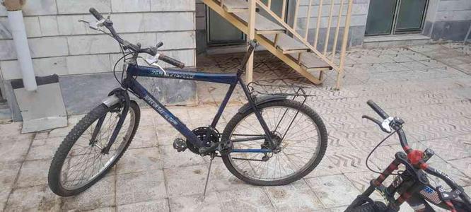 دوچرخه بیست 26 در گروه خرید و فروش ورزش فرهنگ فراغت در زنجان در شیپور-عکس1