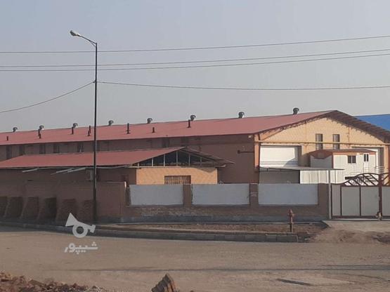 کارخانه فعال تولید خمیر کاغذ/تهاتر 3041 متر  در گروه خرید و فروش املاک در سمنان در شیپور-عکس1