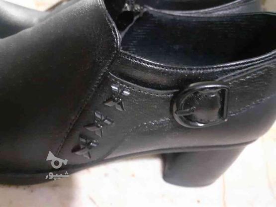 کفش چرم 38 در گروه خرید و فروش لوازم شخصی در خراسان رضوی در شیپور-عکس1