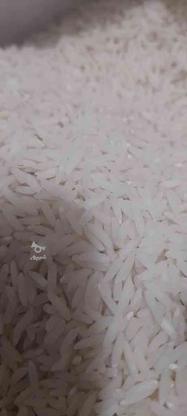 برنج هاشمی درجه 1 بدون سم (صومعه‌سرا ) در گروه خرید و فروش خدمات و کسب و کار در گیلان در شیپور-عکس1