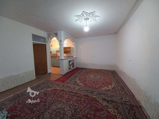 فروش خانه مسکونی 290 متر در گروه خرید و فروش املاک در فارس در شیپور-عکس1