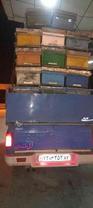 حمل زنبور عسل در گروه خرید و فروش خدمات و کسب و کار در مازندران در شیپور-عکس1