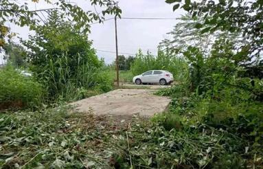 فروش زمین باغی 205 متر در رودسر