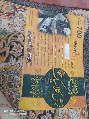 قالی 700 شانه ارکیده در گروه خرید و فروش لوازم خانگی در اصفهان در شیپور-عکس1