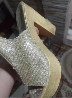 کفش مجلسی و کتانی در گروه خرید و فروش لوازم شخصی در تهران در شیپور-عکس1