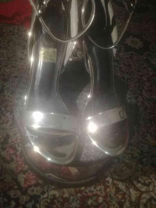 کفش مجلسی برند ترک دوجفت در گروه خرید و فروش لوازم شخصی در تهران در شیپور-عکس1