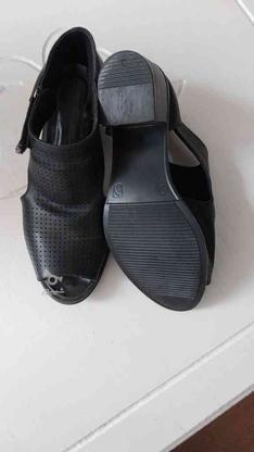 فروش کفش سایز 38نو در گروه خرید و فروش لوازم شخصی در کردستان در شیپور-عکس1