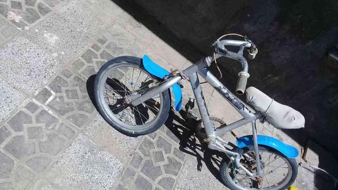 دوچرخه سالم در گروه خرید و فروش ورزش فرهنگ فراغت در خراسان رضوی در شیپور-عکس1